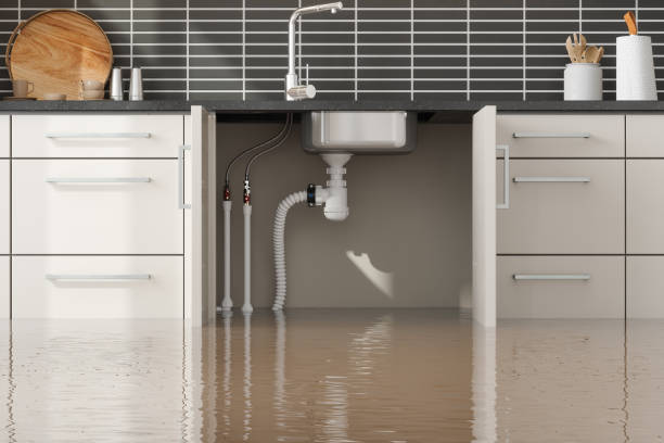 Best Water damage restoration specialists  in Signal Mountain, TN