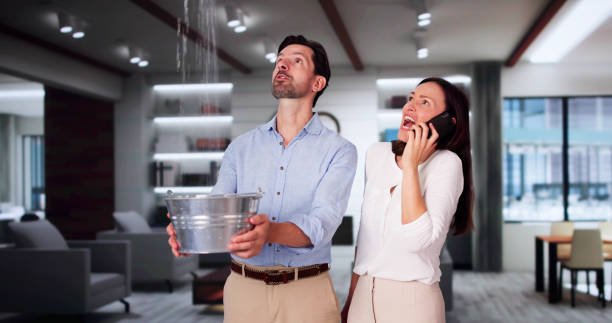 Best Residential water damage restoration  in Signal Mountain, TN