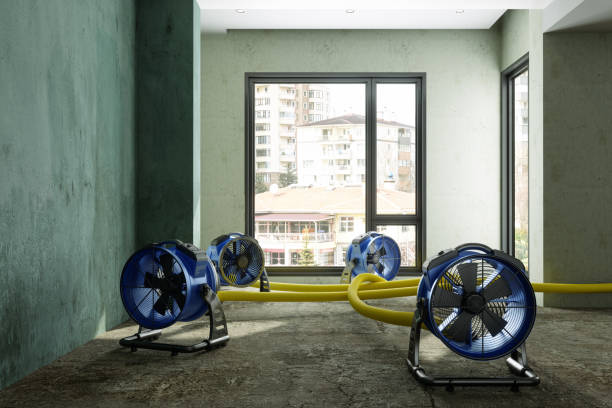 Best Sewage cleanup and water damage restoration  in Signal Mountain, TN