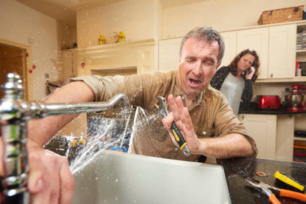 Best Water damage cleanup near me  in Signal Mountain, TN